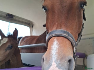 Övrig utrustning övrig utrustning till salu: Uteboxar sökes i Katrineholm - Annons 22