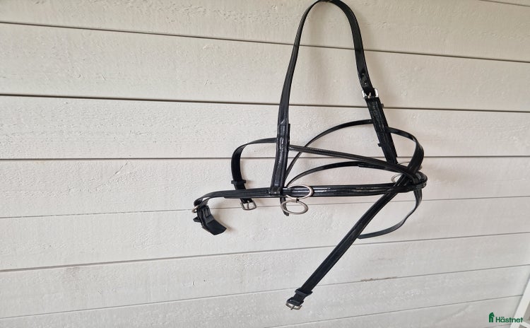 Övrig Travutrustning trav till salu i Ängelholm - Annons 13