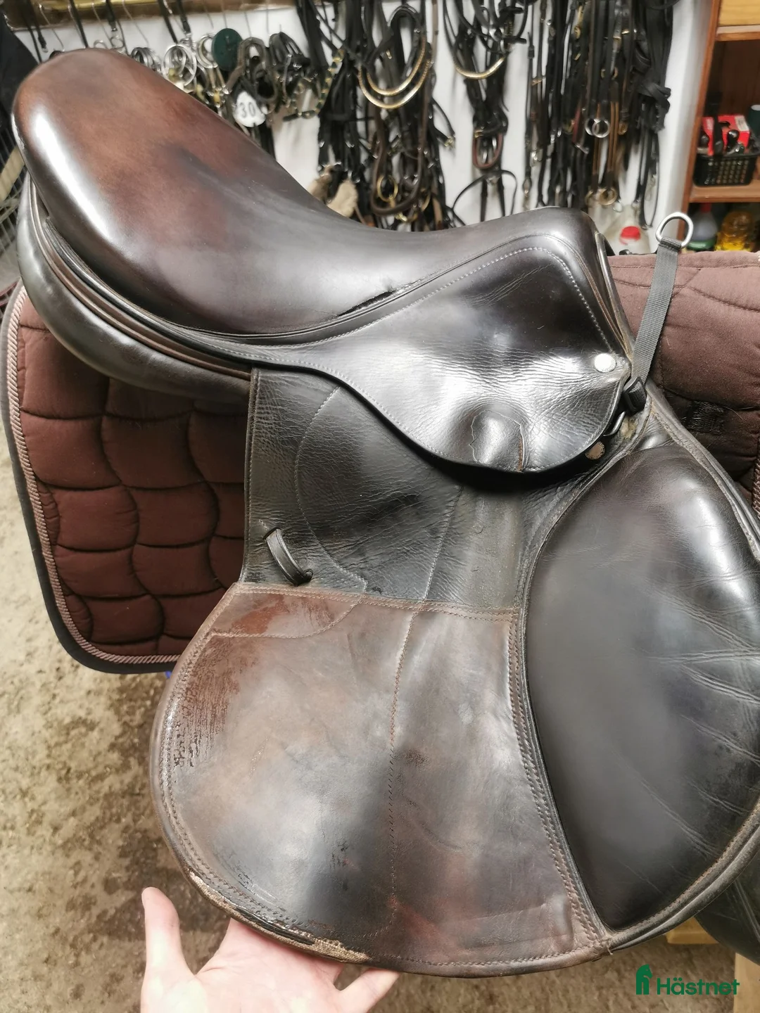 Sadlar hästutrustning till salu: Equipe Extreme 17" - Annons 2