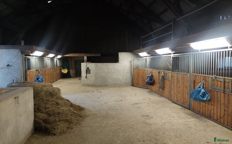  stallplats i Staffanstorp - Annons 7