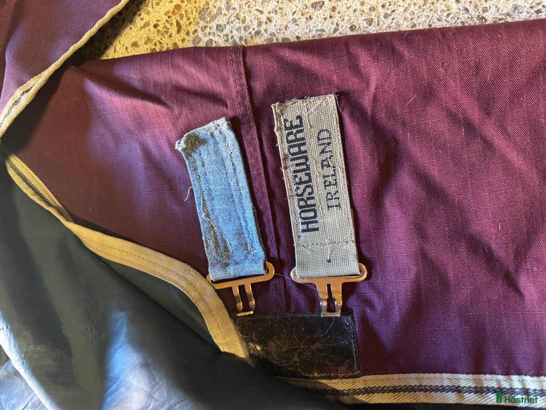 Täcken hästutrustning till salu: Amigo regntäcke 155 i Falun - Annons 2