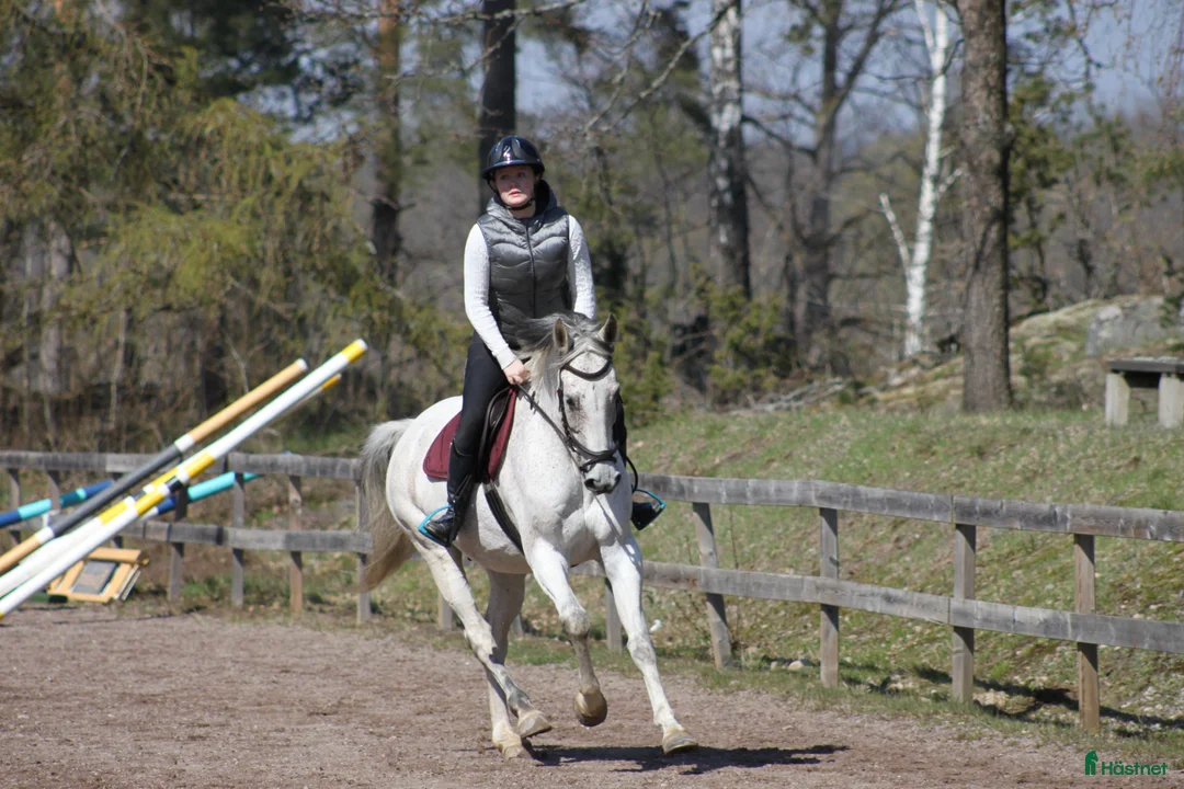 Galleribild {{count}}