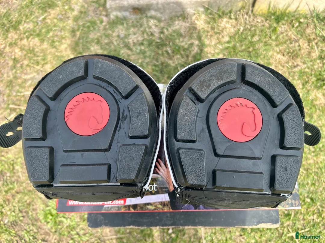 Övrig Hästutrustning hästutrustning till salu: Cavallo sport regular 3 - Annons 2