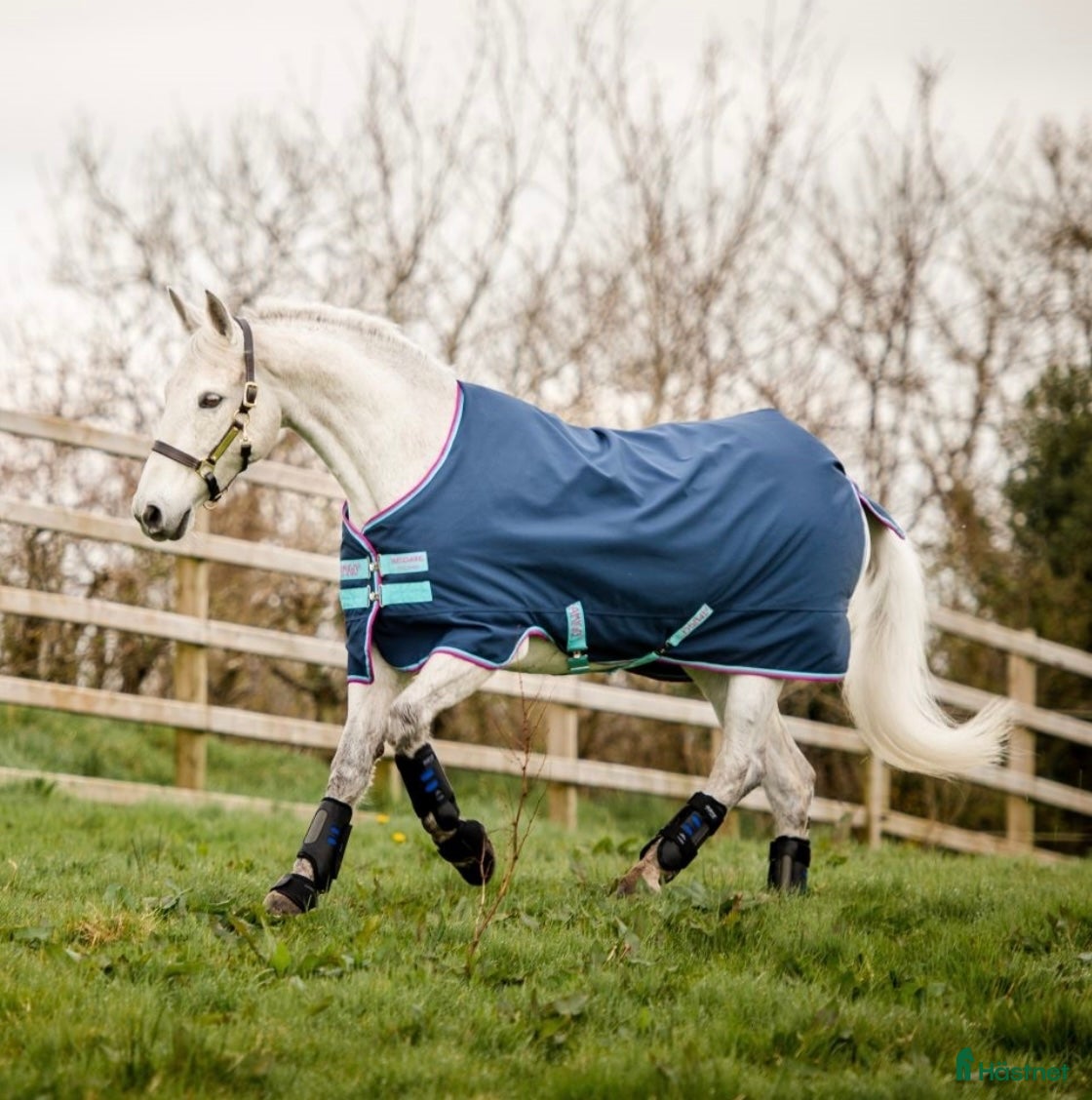 Täcken hästutrustning till salu: Amigo Hero ponny medium  i Malmköping - Annons 2