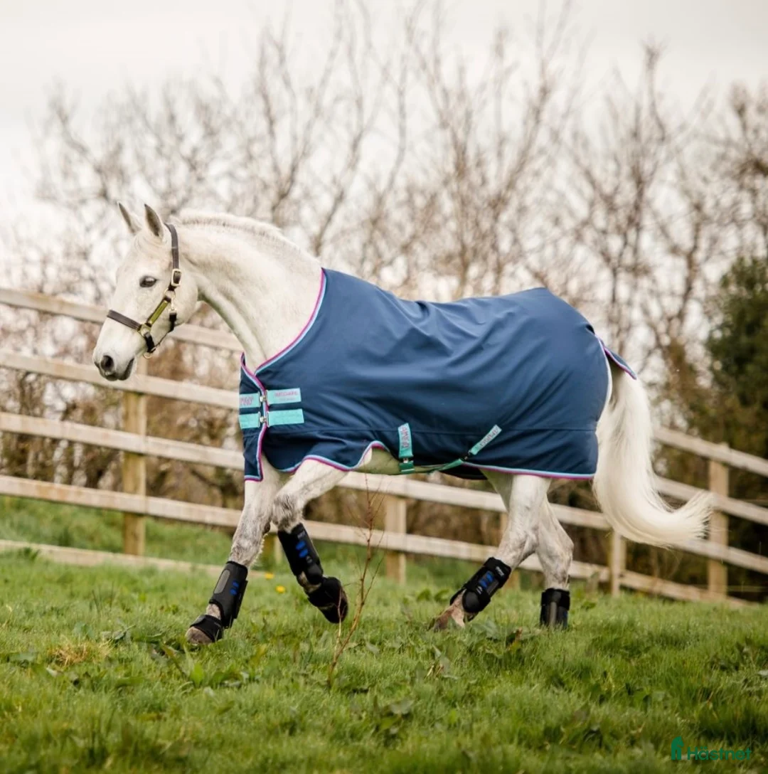 Täcken hästutrustning till salu: Amigo Hero ponny medium  i Malmköping - Annons 1