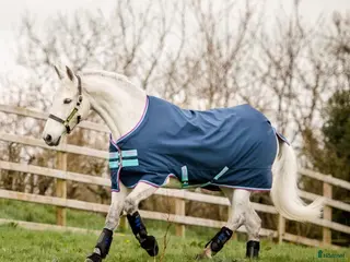 Täcken hästutrustning till salu: Amigo Hero ponny medium i Malmköping - Annons 2