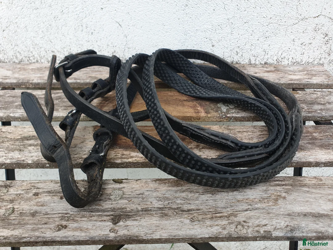 Övrig Hästutrustning hästutrustning till salu: Hästsaker i Skeppshult - Annons 22