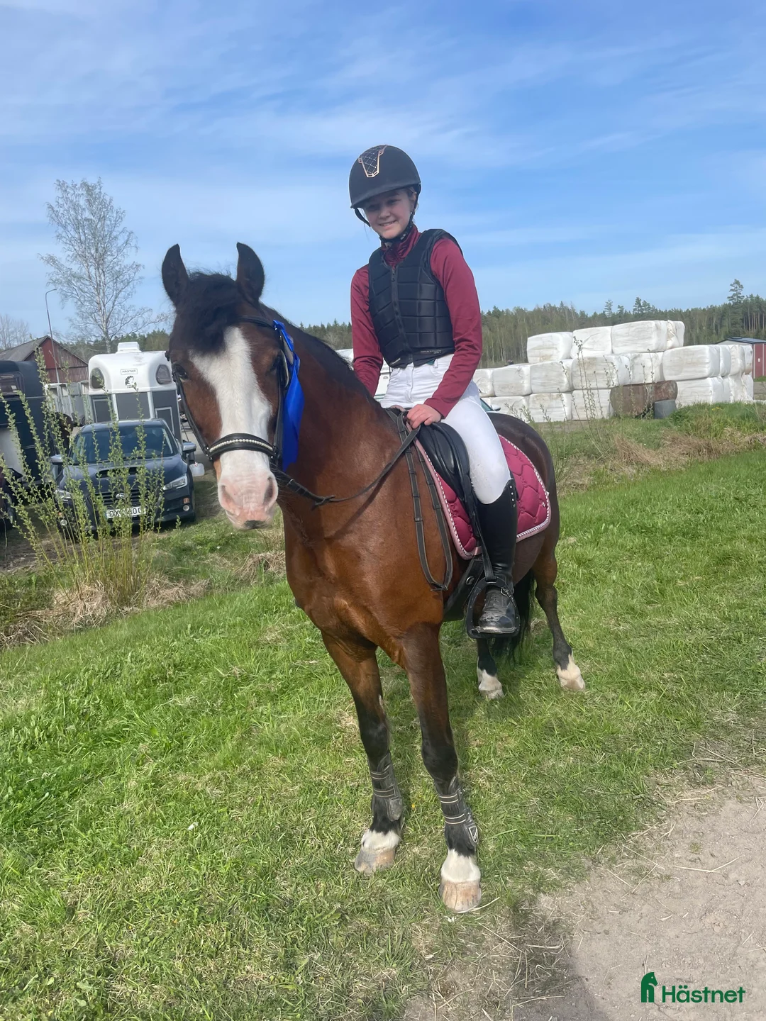 Dressyr hästar till salu: Dressyrponny - Annons 2