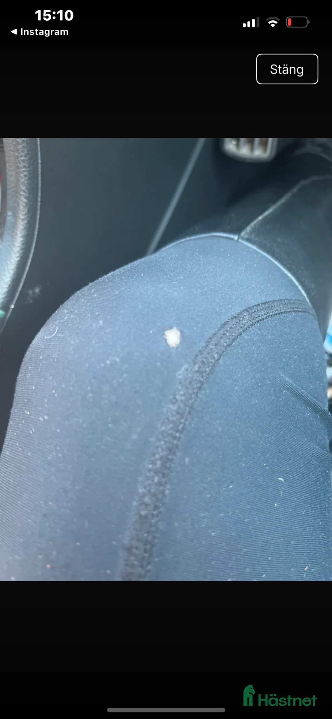 Ridbyxor ryttarutrustning till salu: Maya Delorez  i Gävle - Annons 3