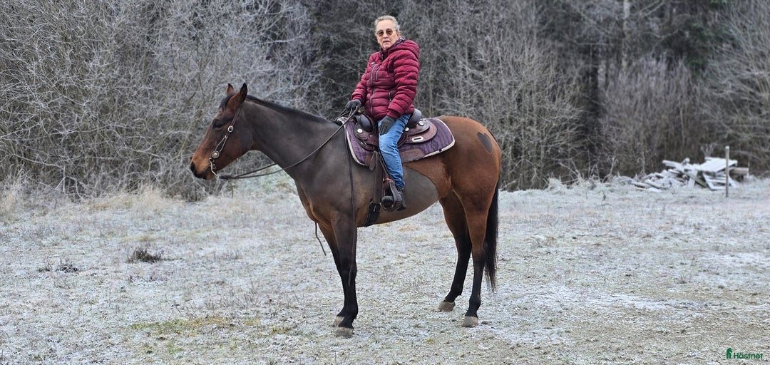 Galleribild {{count}}