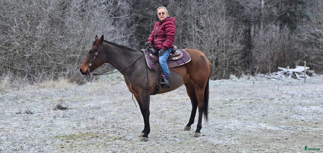 Galleribild {{count}}