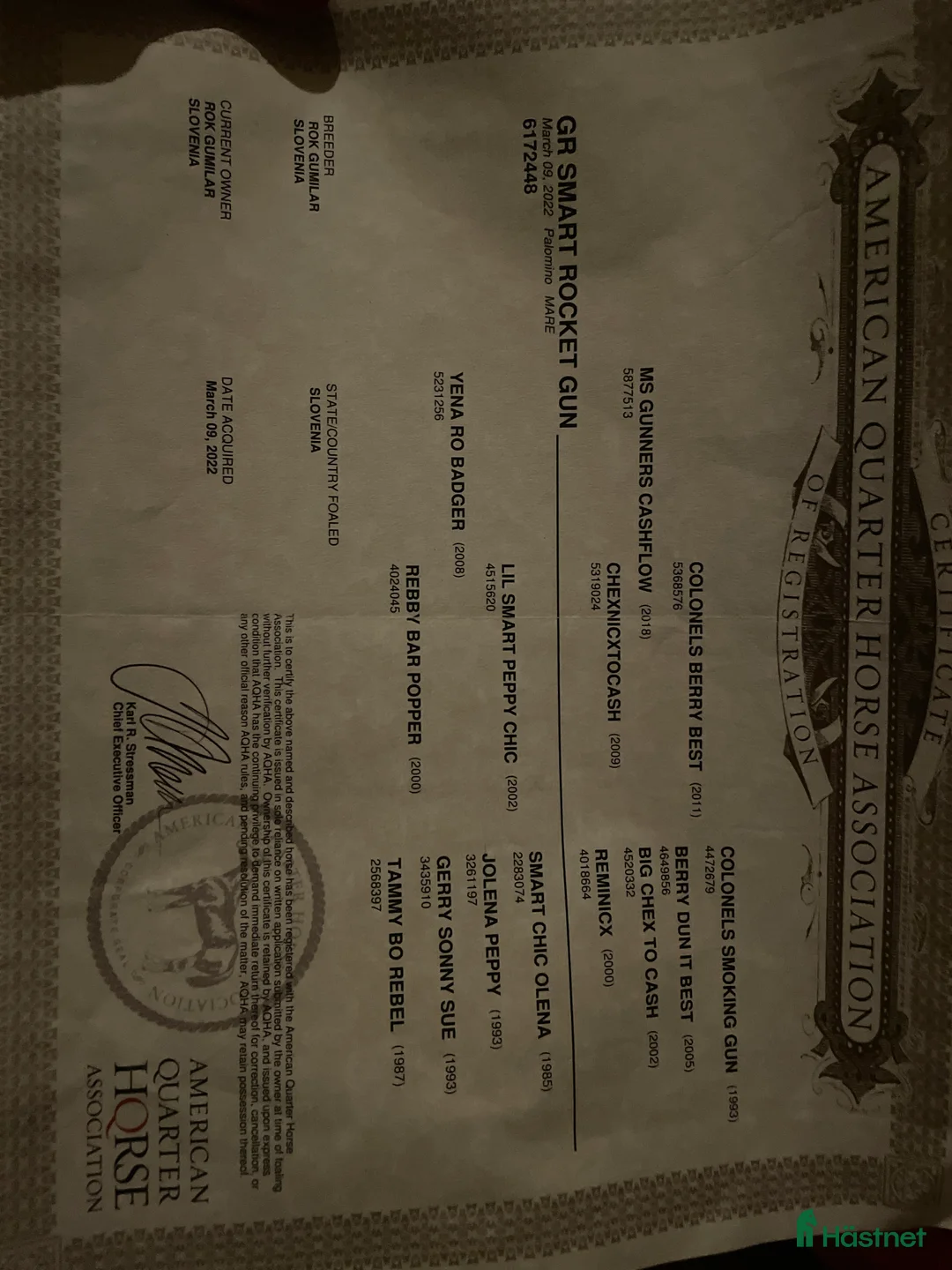 Western hästar till salu: Intressekoll - Annons 2