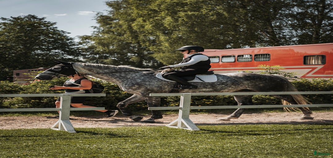 Galleribild {{count}}