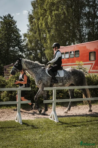 Galleribild {{count}}