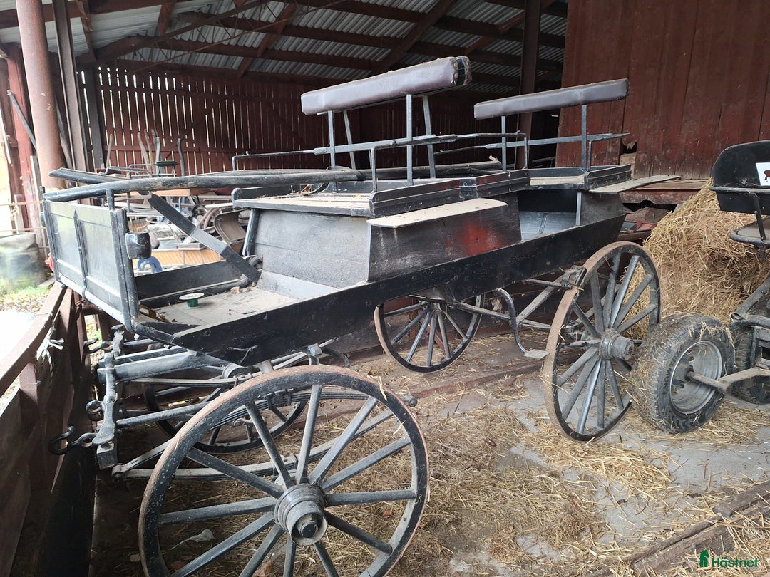 Körvagnar körning till salu: Hästvagn i Skövde - Annons 1