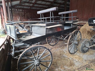 Körvagnar körning till salu: Hästvagn i Skövde - Annons 12