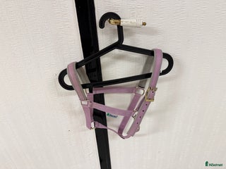 Övrig Hästutrustning hästutrustning till salu i Hålta - Annons 25