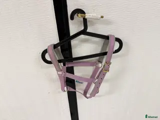 Övrig Hästutrustning hästutrustning Lila grimma cobstorlek av märket Bucas i Hålta - Annons 6