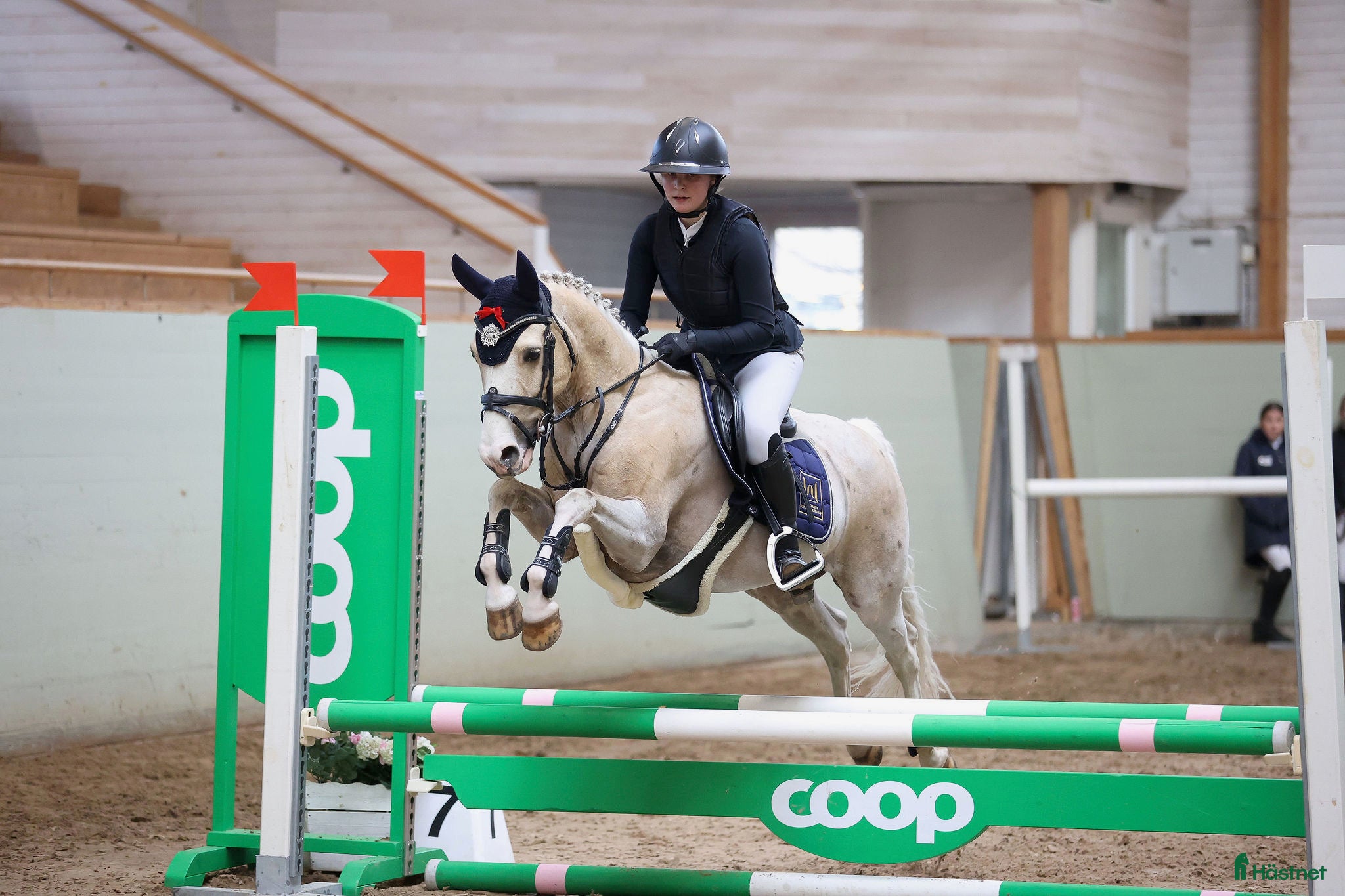  hästar Charmig och glad c-ponny söker nytt hem! - Annons 11