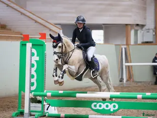 hästar Charmig och glad c-ponny söker nytt hem! - Annons 11