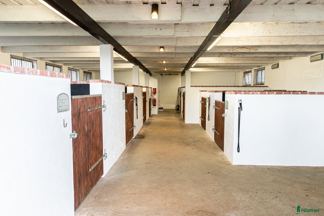  stallplats finnes: Stallplats med fullservice  i Bjärnum - Annons 1