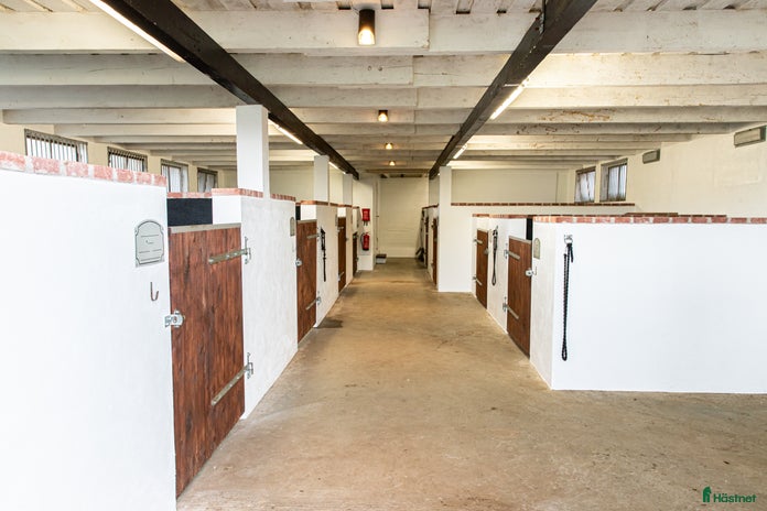 stallplats i Bjärnum - Annons 16