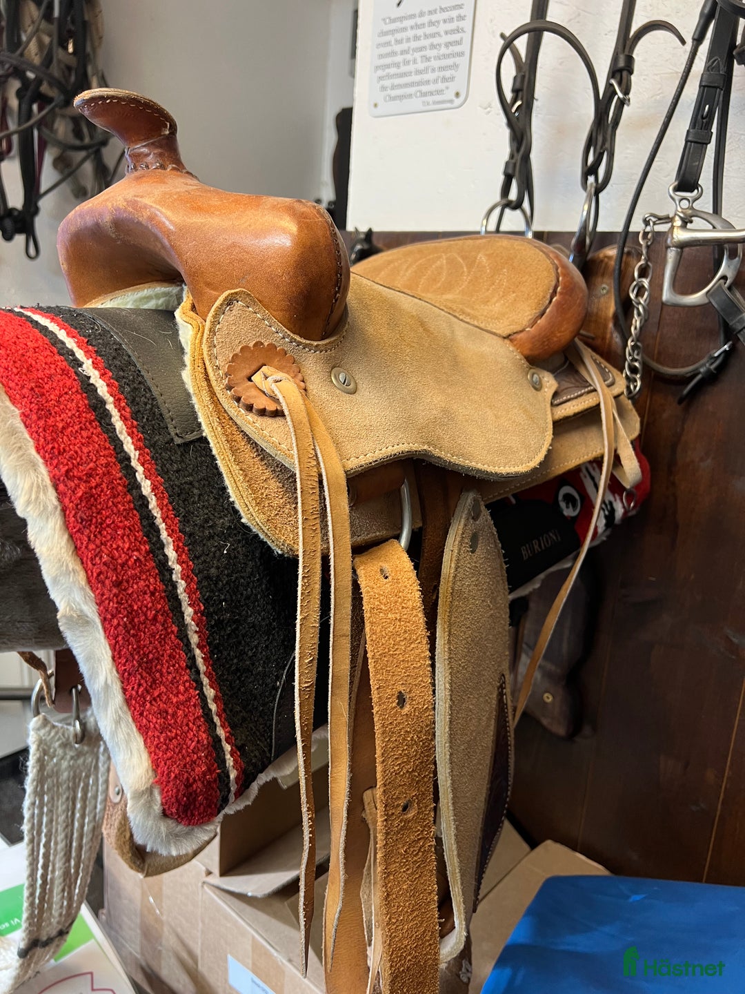 Sadlar hästutrustning till salu: Western till miniatyr i Norra Sorunda - Annons 5