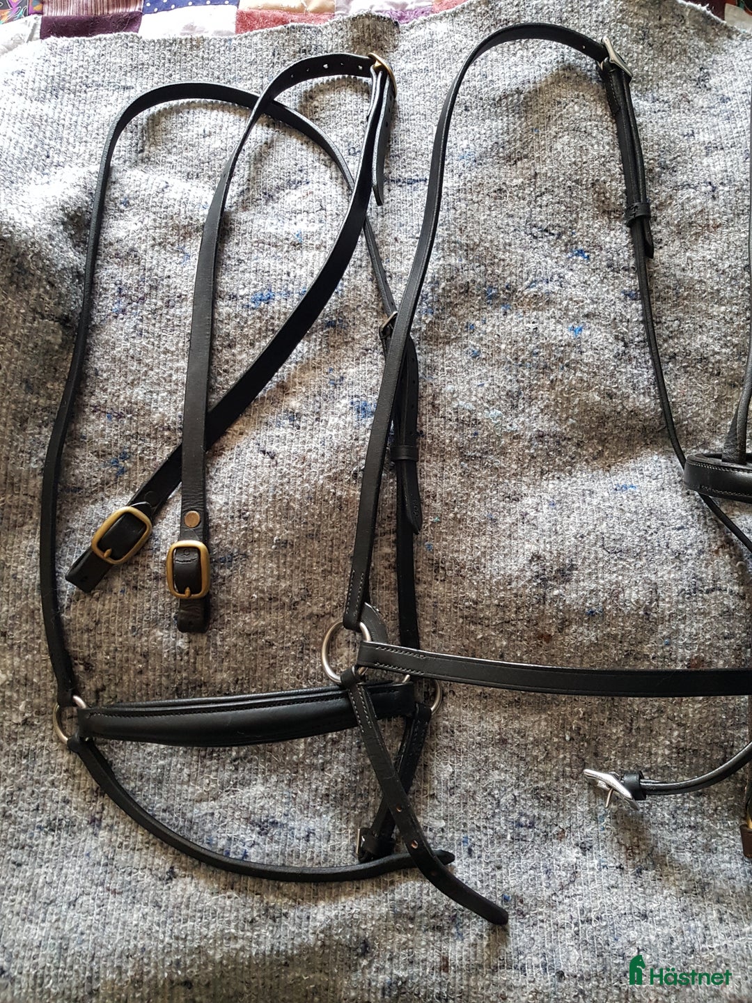 Träns hästutrustning till salu: Nosgrimmor svart och brun cob i Söråker - Annons 3
