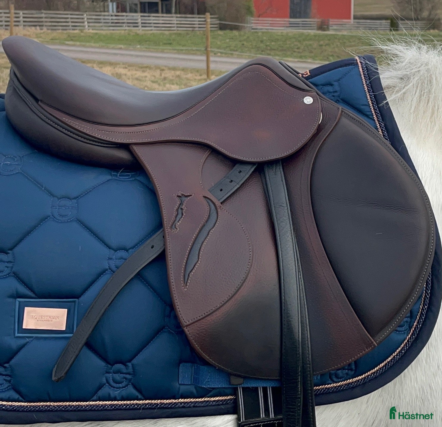 Sadlar hästutrustning Antares Evolution 17” mkt fin (2021) - Annons 20