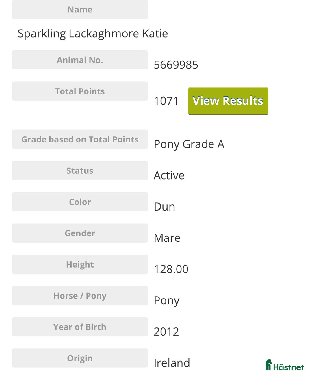 Hoppning hästar till salu: 13yr old TOP 128cm pony!!! i Stockholm - Annons 7