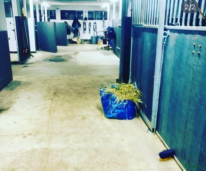  stallplats Stallplatser finnes - Annons 4