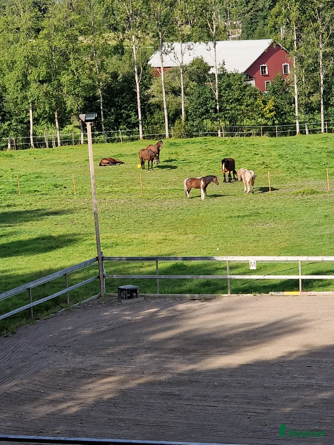  stallplats finnes: Stallplats ledig I Lilla edet - Annons 8