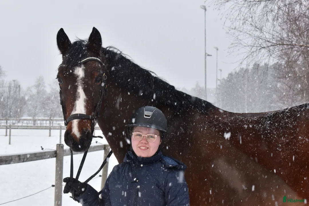  hästjobb finnes: hästtjej söker hästjobb på ridskola - Annons 2