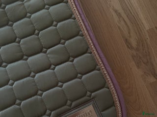 Schabrak & Vojlockar hästutrustning till salu: Equito schabrak i Knivsta - Annons 4