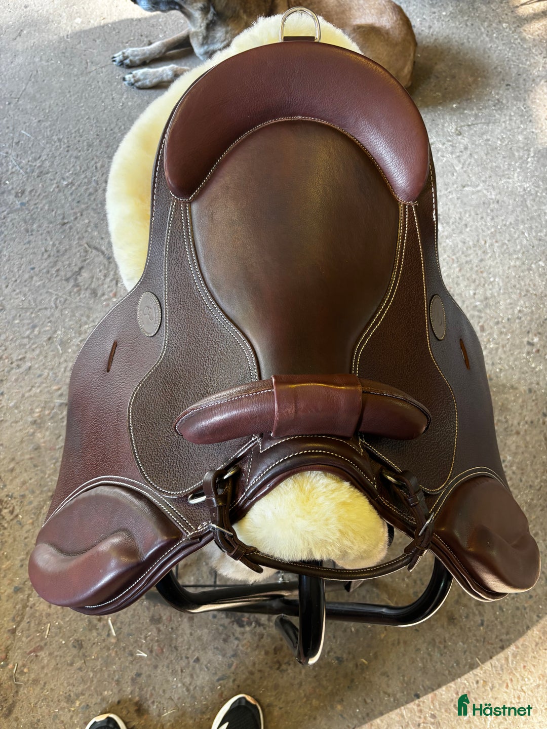 Sadlar hästutrustning till salu: Gay Cuntin ponny Puda  i Ljungbyhed - Annons 3