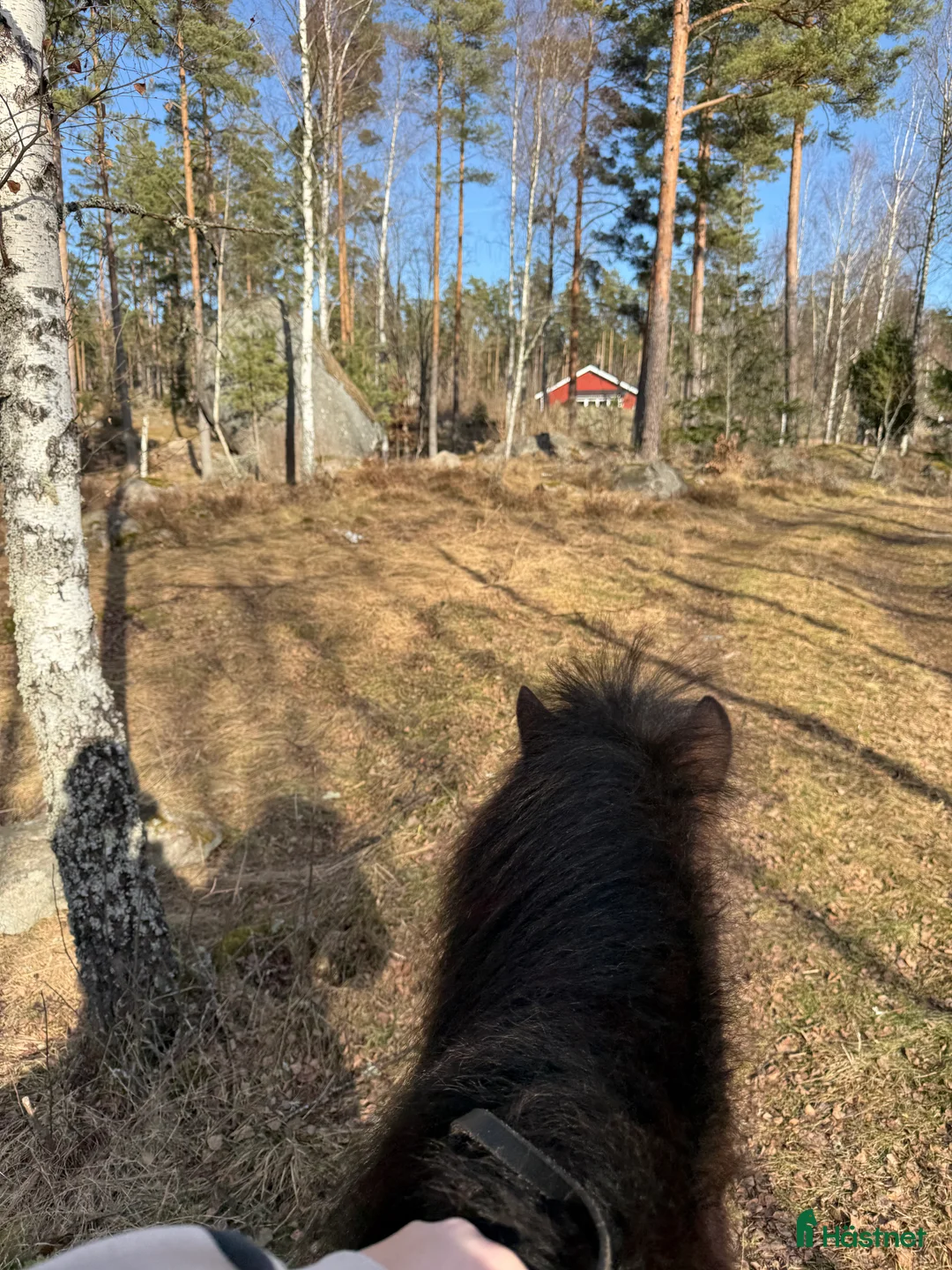 Galleribild {{count}}