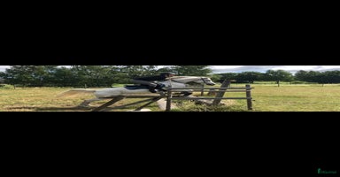  hästar i Motala - Annons 4