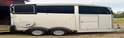 Hästtransporter  fordon & transport till salu: 2021, 1 ägare, v-hjul, vikt 1.950kg, BYTE, MOMS! i Lilla Edet - Annons 4
