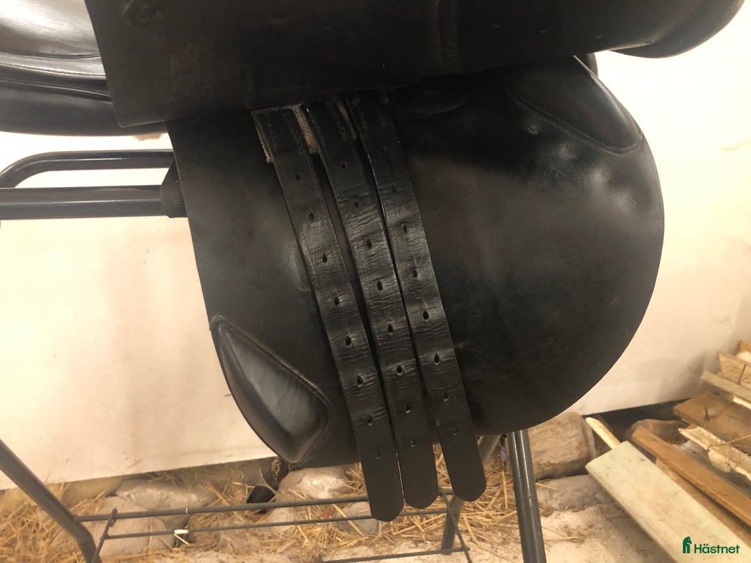 Sadlar hästutrustning till salu: Zaldi hoppsadel i Bergkvara - Annons 6