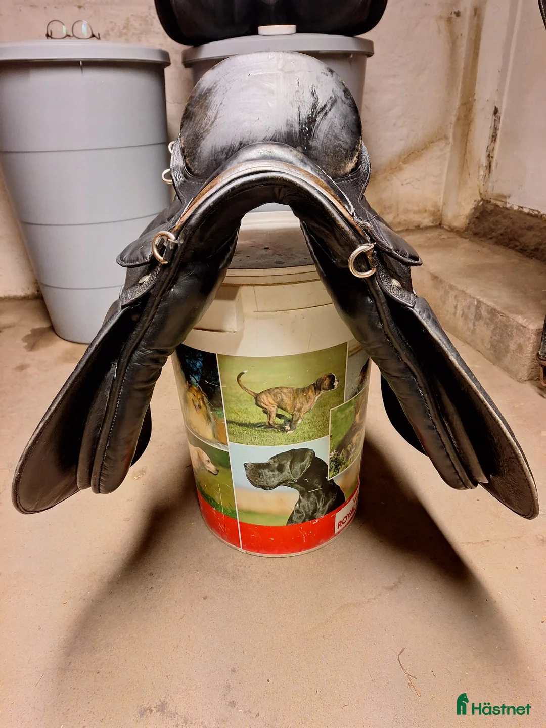 Sadlar hästutrustning till salu: Allround sadel i Näsviken - Annons 2