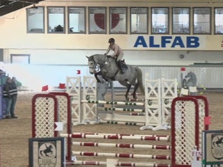 Hoppning hästar till salu: Kapabelt sto e Clinton II i Rottne - Annons 1