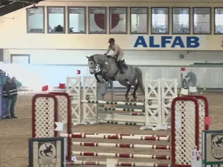 hästar Kapabelt sto e Clinton II i Rottne - Annons 2