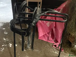 Körselar körning till salu: Bröstsele i Värnamo - Annons 13