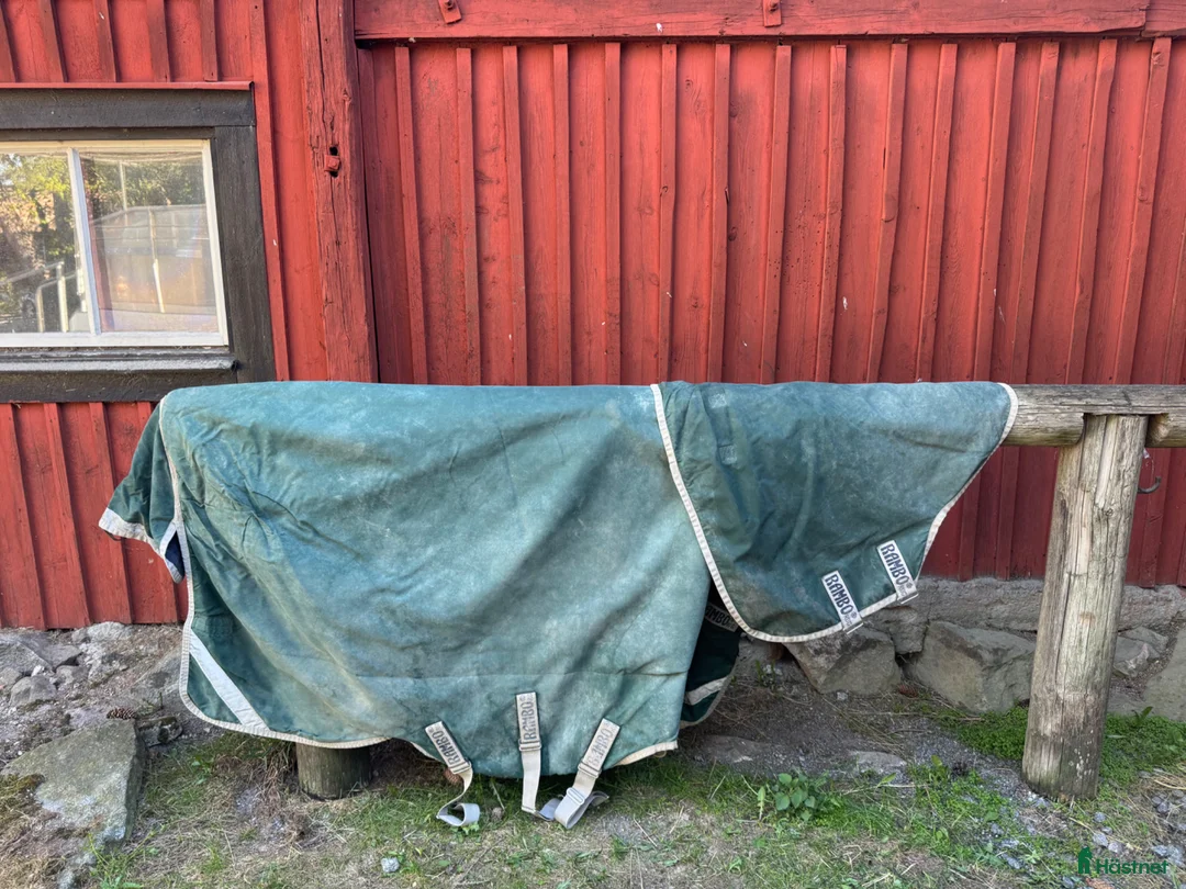 Täcken hästutrustning till salu: Rambo regntäcke stl 140 - Annons 1
