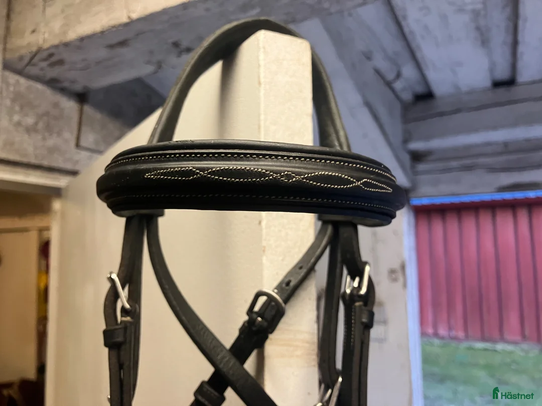 Träns hästutrustning till salu: Dyon pullarträns  - Annons 2