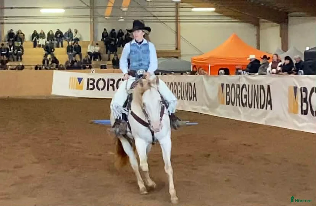 Galleribild {{count}}