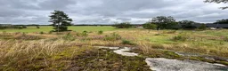  stallplats finnes: Lösdrift - Annons 1