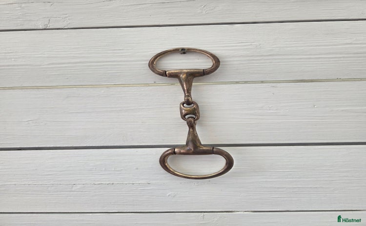 Bett hästutrustning till salu i Virsbo - Annons 15