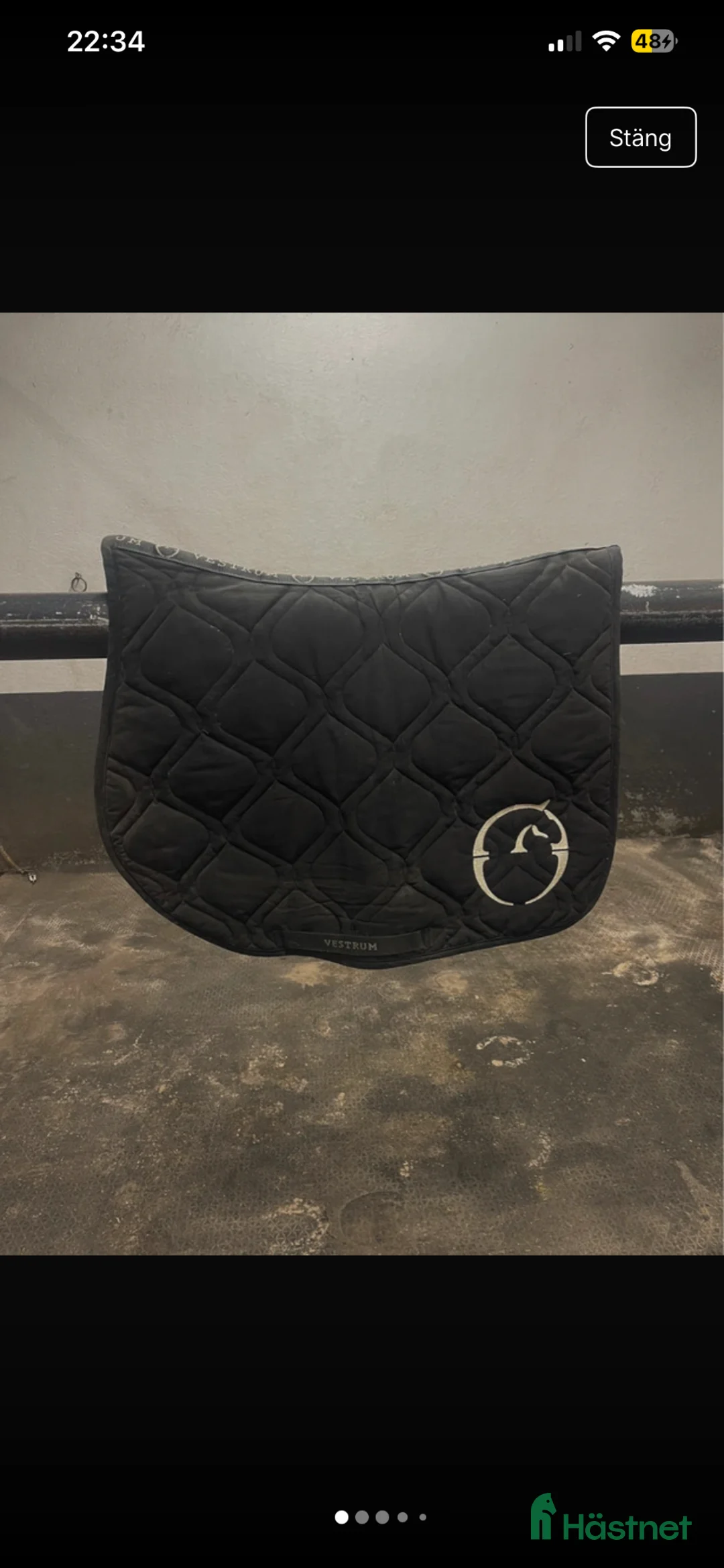 Schabrak & Vojlockar hästutrustning till salu: Vestrum schabrak  - Annons 1