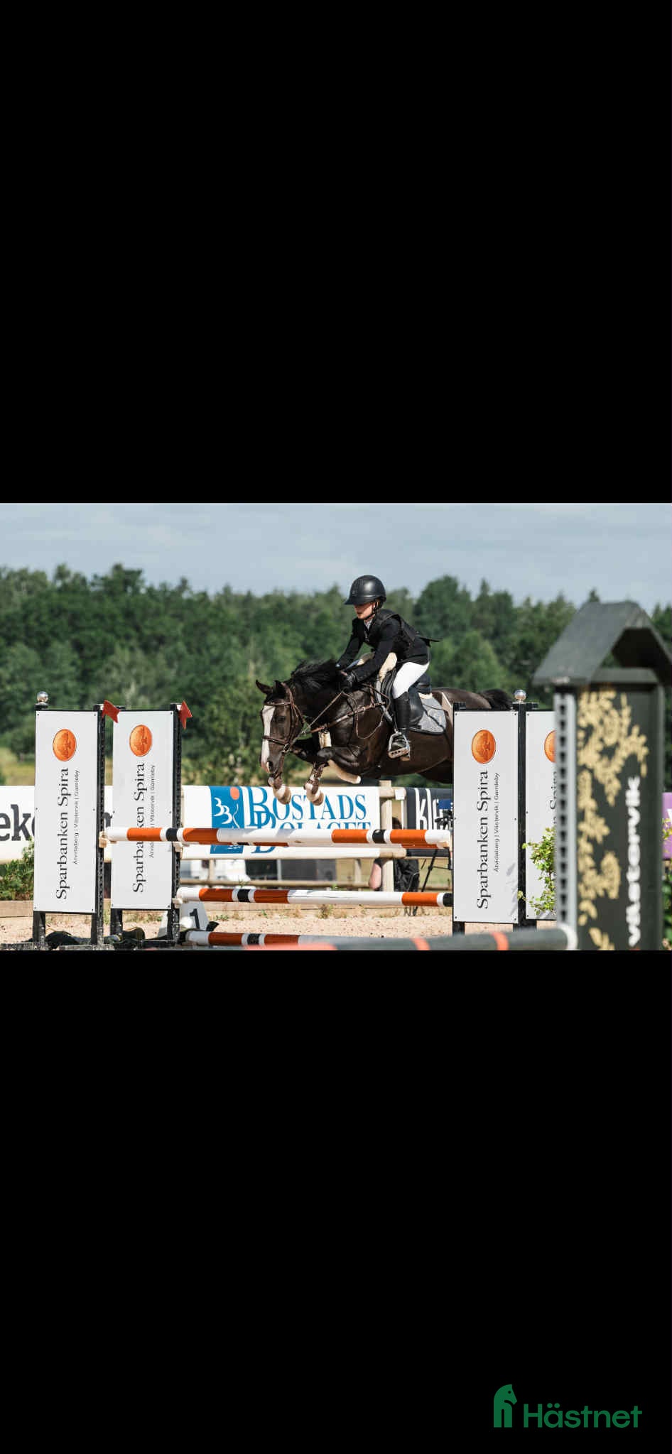  hästar En framtida stjärna. Kvalad till SvRF ungponny  - Annons 7